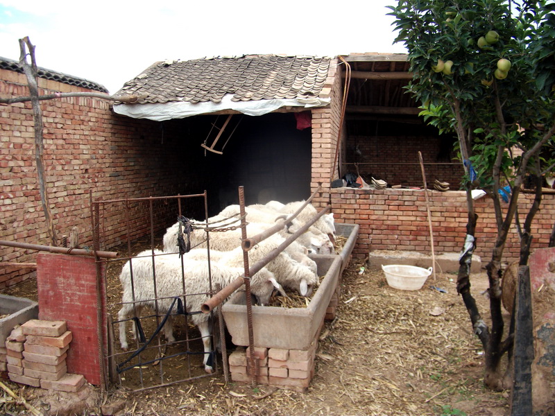 dscf0560.jpg