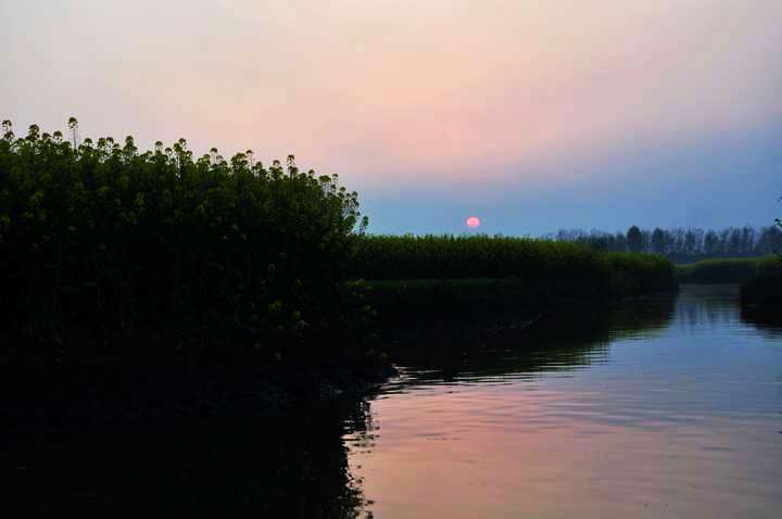dsc_0360.jpg