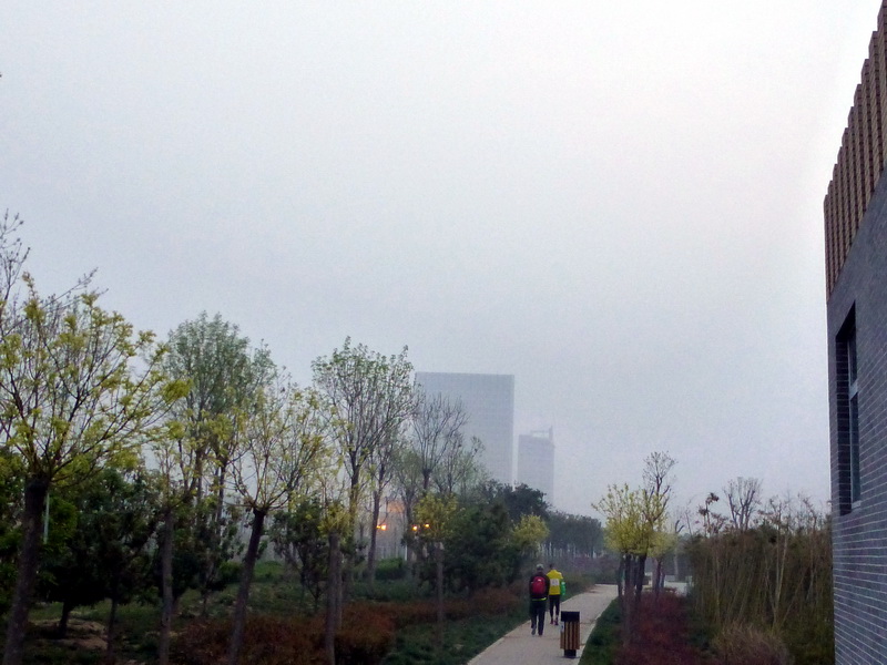 p1190961.jpg