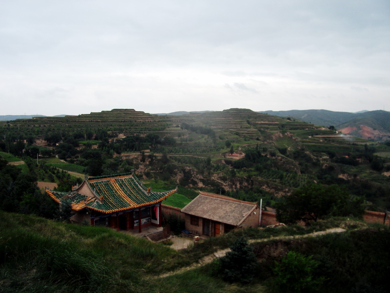 dscf0595.jpg