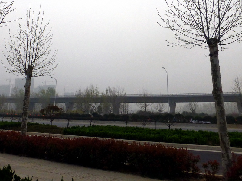 p1190962.jpg