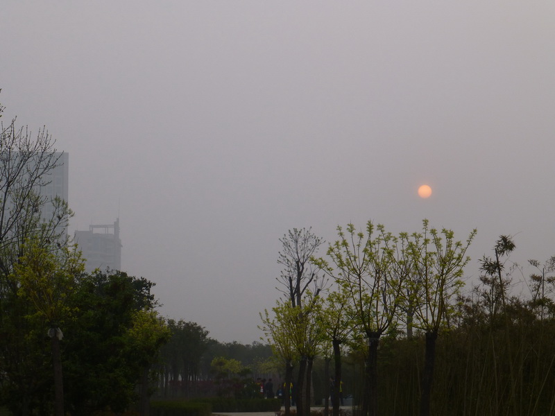 p1190966.jpg
