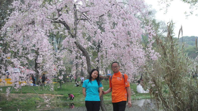dsc01799.jpg