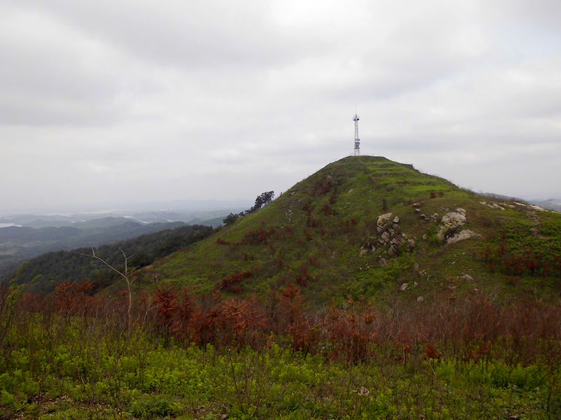 dsci0298_.jpg
