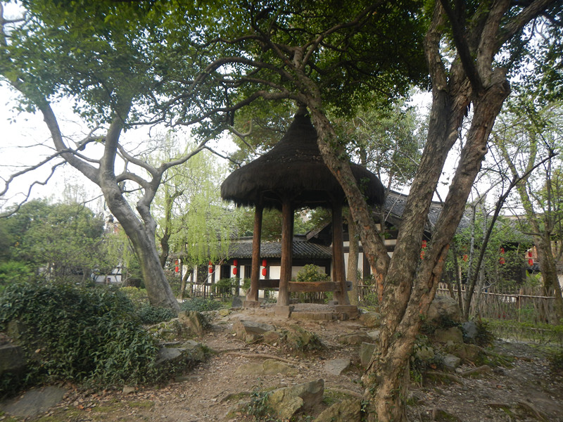 dscn2245_.jpg