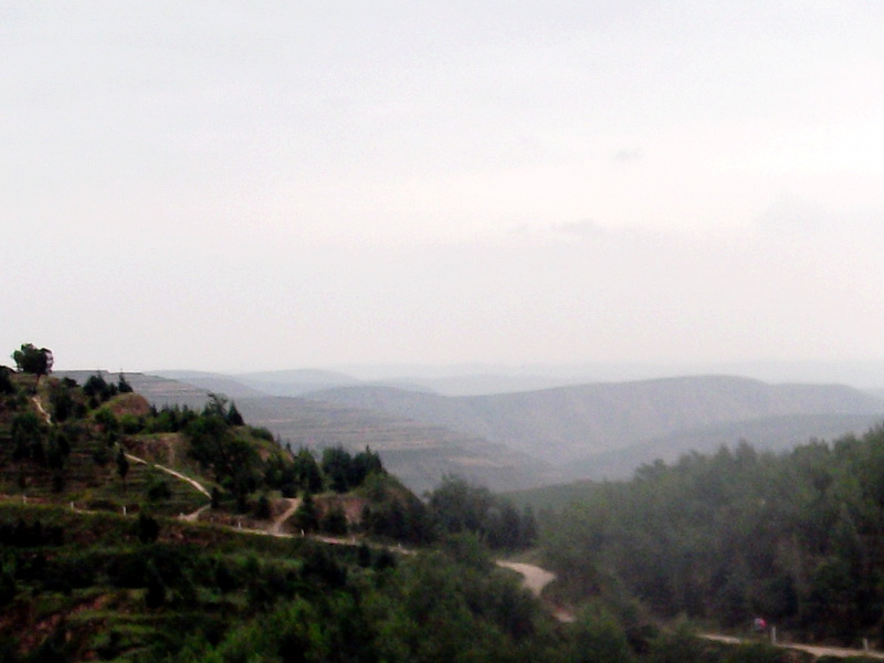 dscf0615.jpg