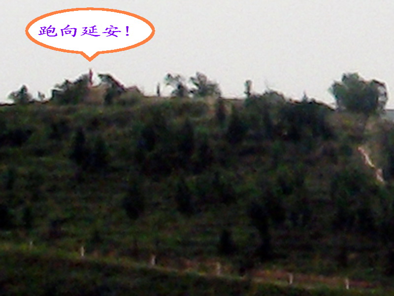 dscf0617.jpg