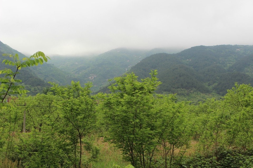 qqͼƬ20140421171100.jpg