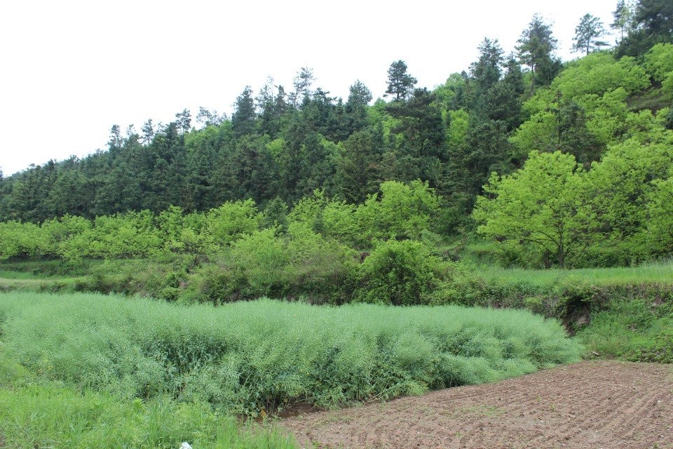 qqͼƬ20140421171107.jpg