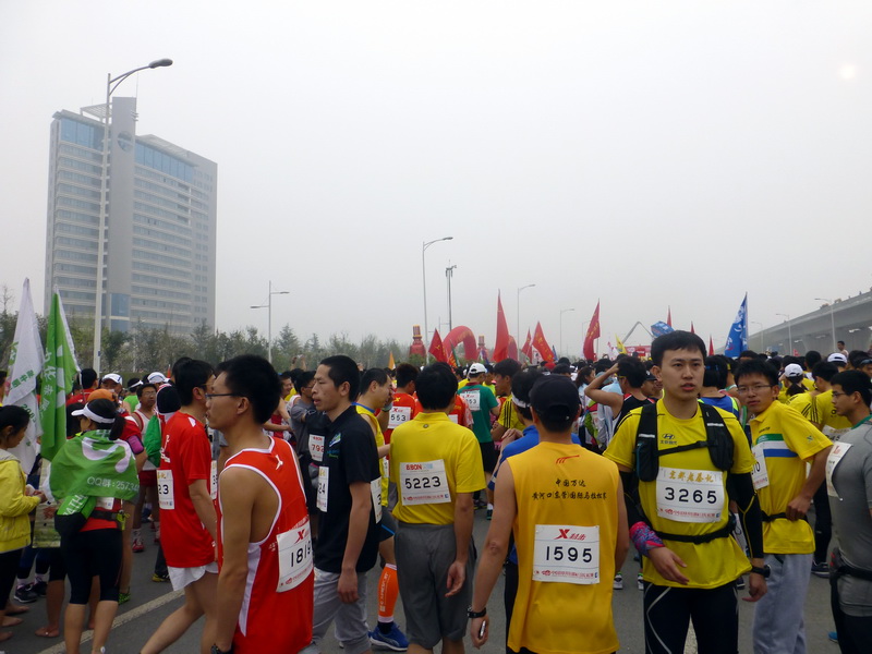 p1190986.jpg