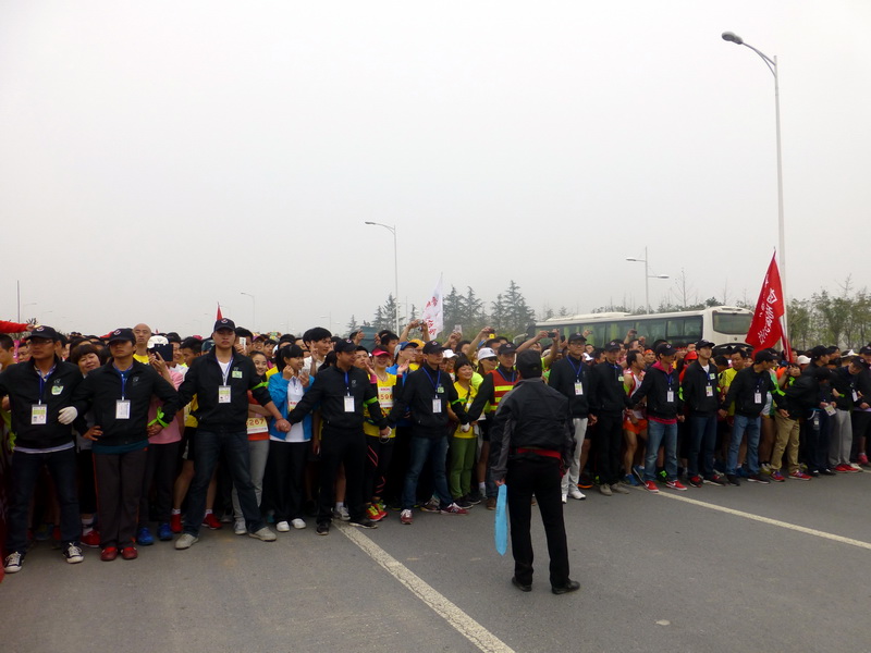 p1190993.jpg
