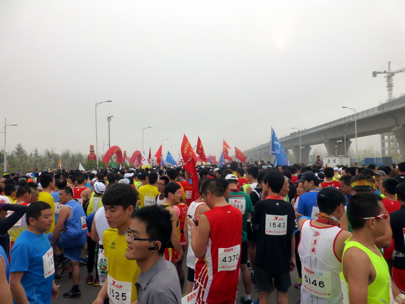 p1190995.jpg