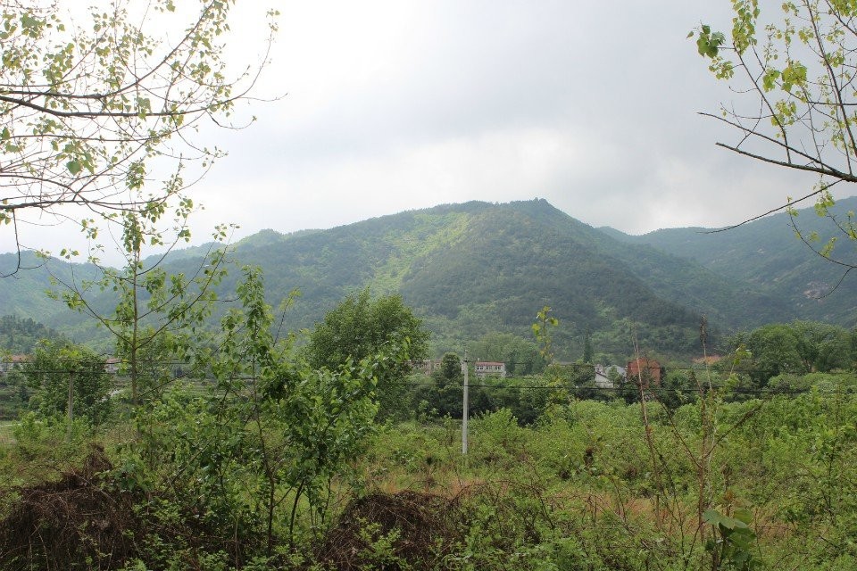 qqͼƬ20140421170747.jpg