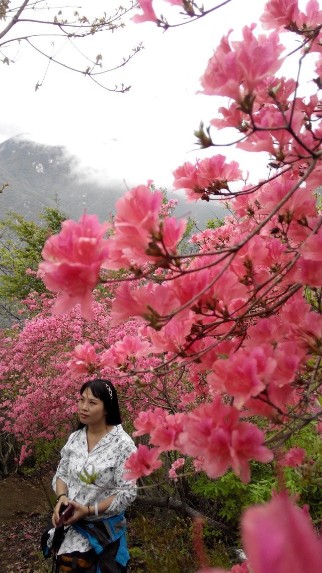qqͼƬ20140423153837.jpg