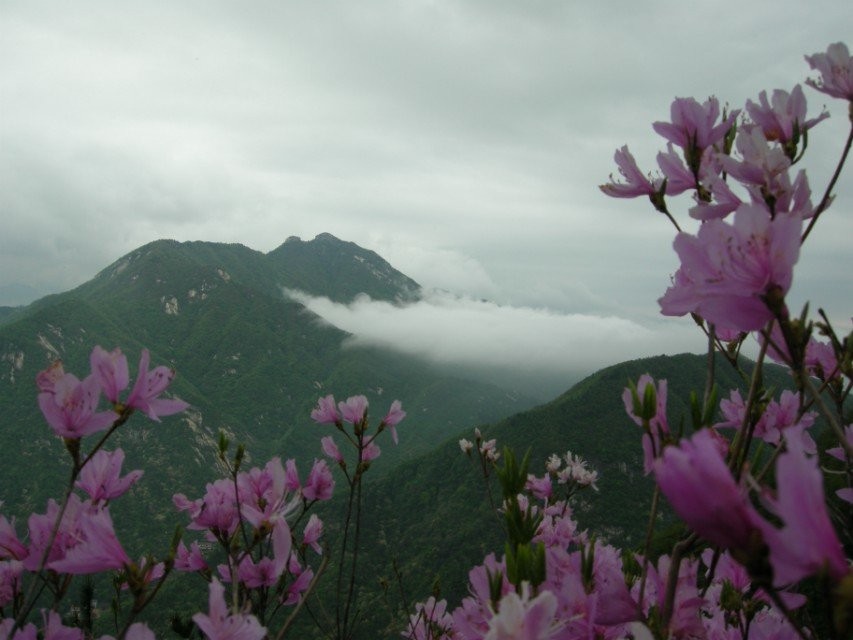 qqͼƬ20140423153926.jpg