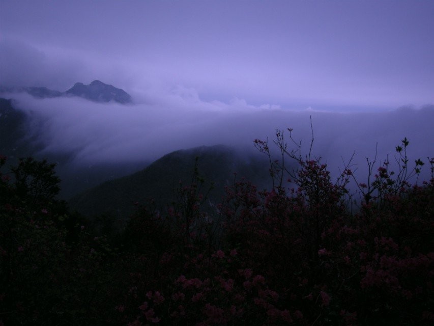 qqͼƬ20140423153935.jpg