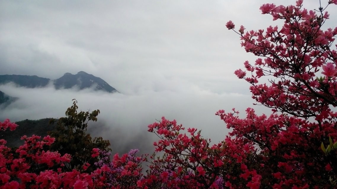 qqͼƬ20140423154043.jpg