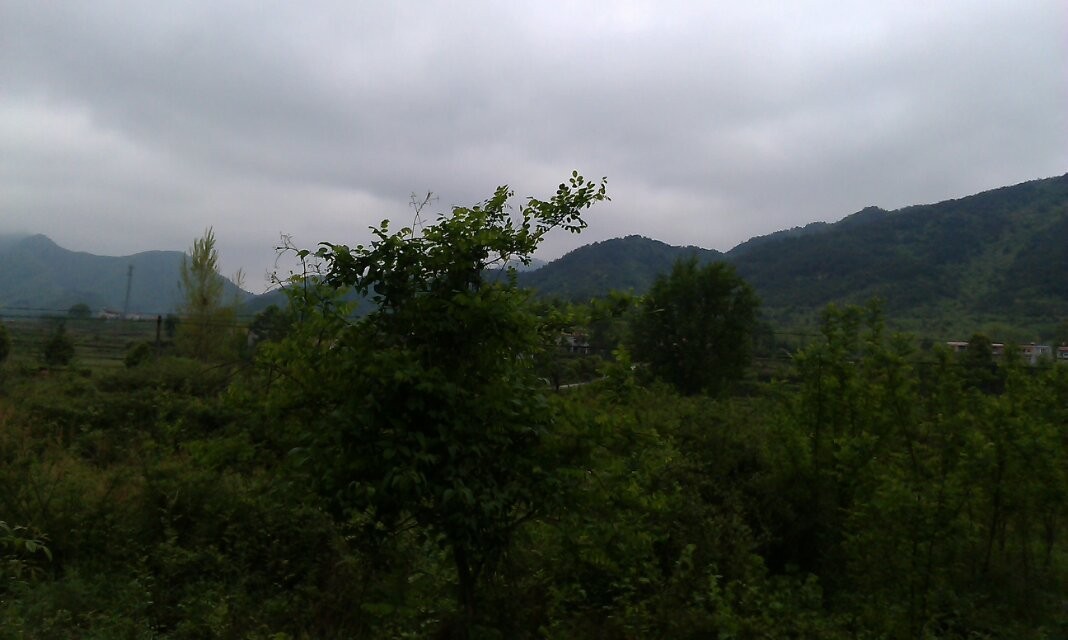 qqͼƬ20140423190748.jpg