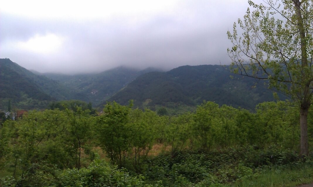 qqͼƬ20140423190816.jpg
