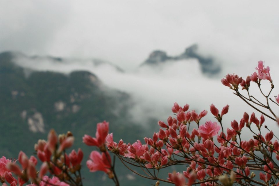 qqͼƬ20140424173703.jpg