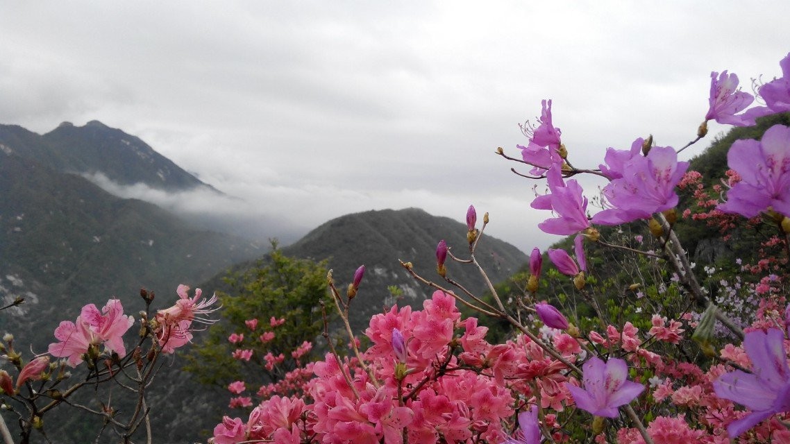 qqͼƬ20140424173850.jpg