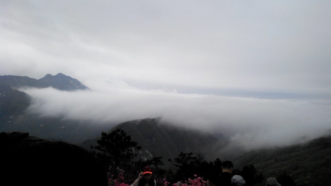 qqͼƬ20140424173931.jpg