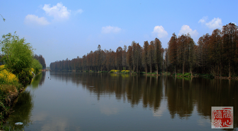 img_5639.jpg