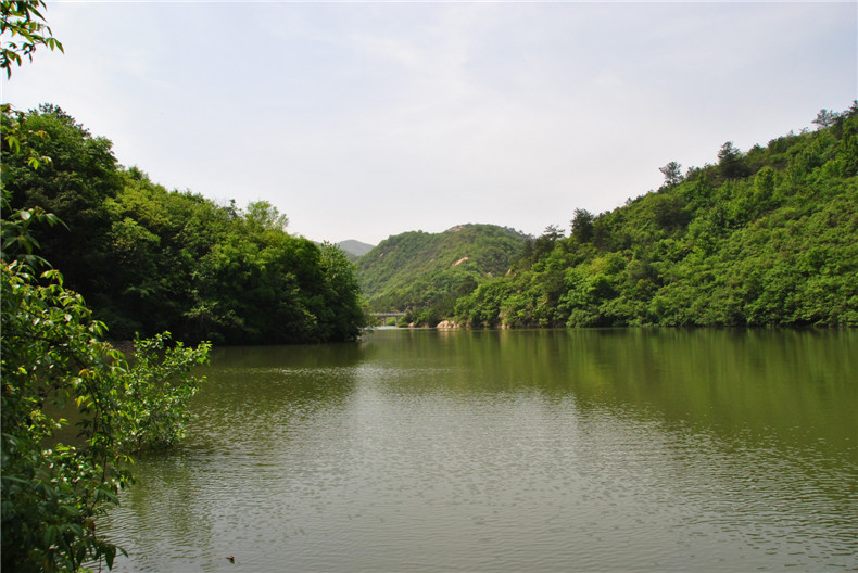 dsc_0023.jpg