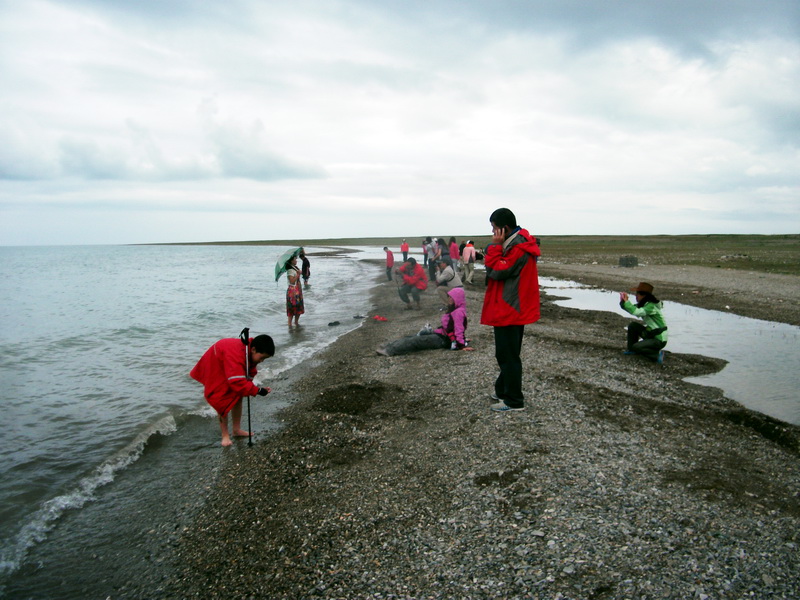 dscf0706.jpg