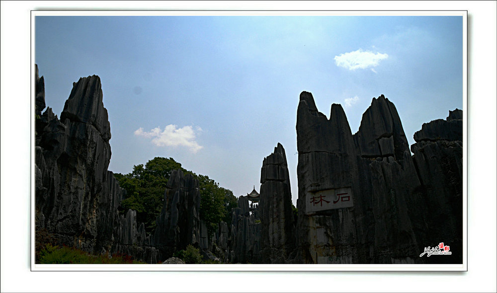 dsc_3217.jpg