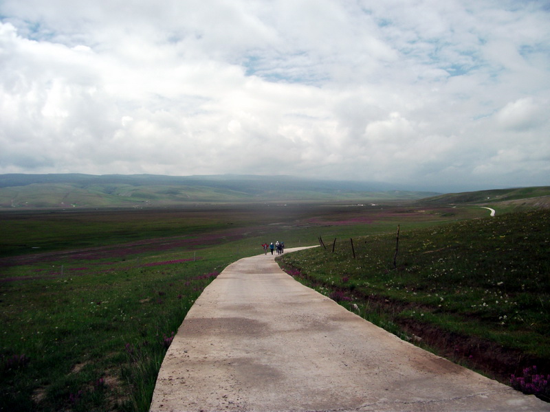 dscf0766.jpg