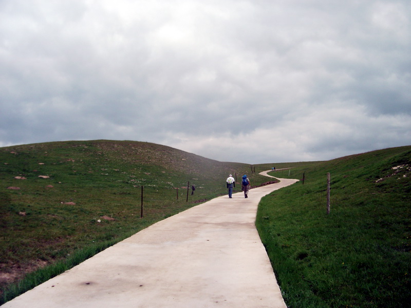 dscf0768.jpg