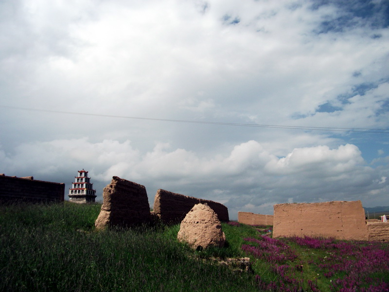 dscf0781.jpg