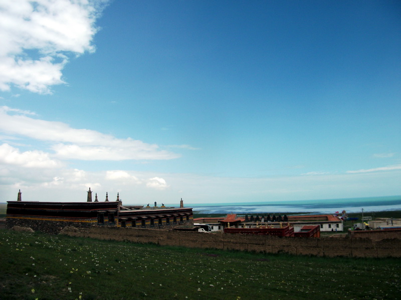 dscf0785.jpg