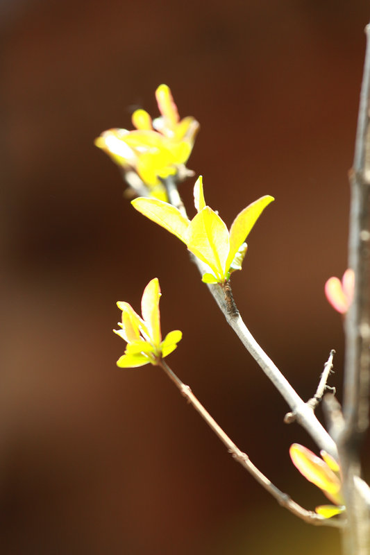 img_6477.jpg