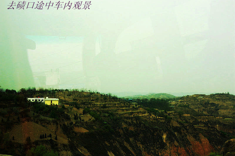 img_6460_1.jpg