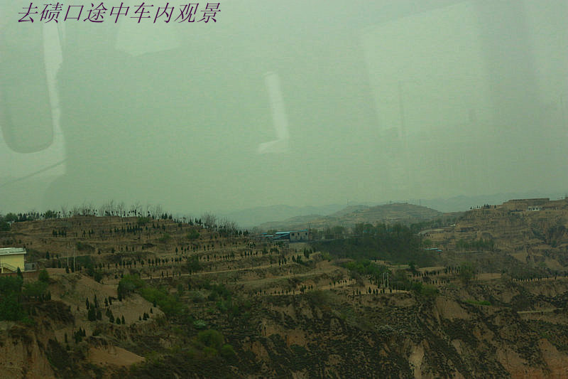 img_6461_1.jpg