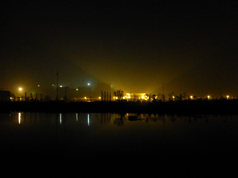 p1190949.jpg