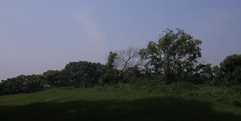 bw3p0946_.jpg