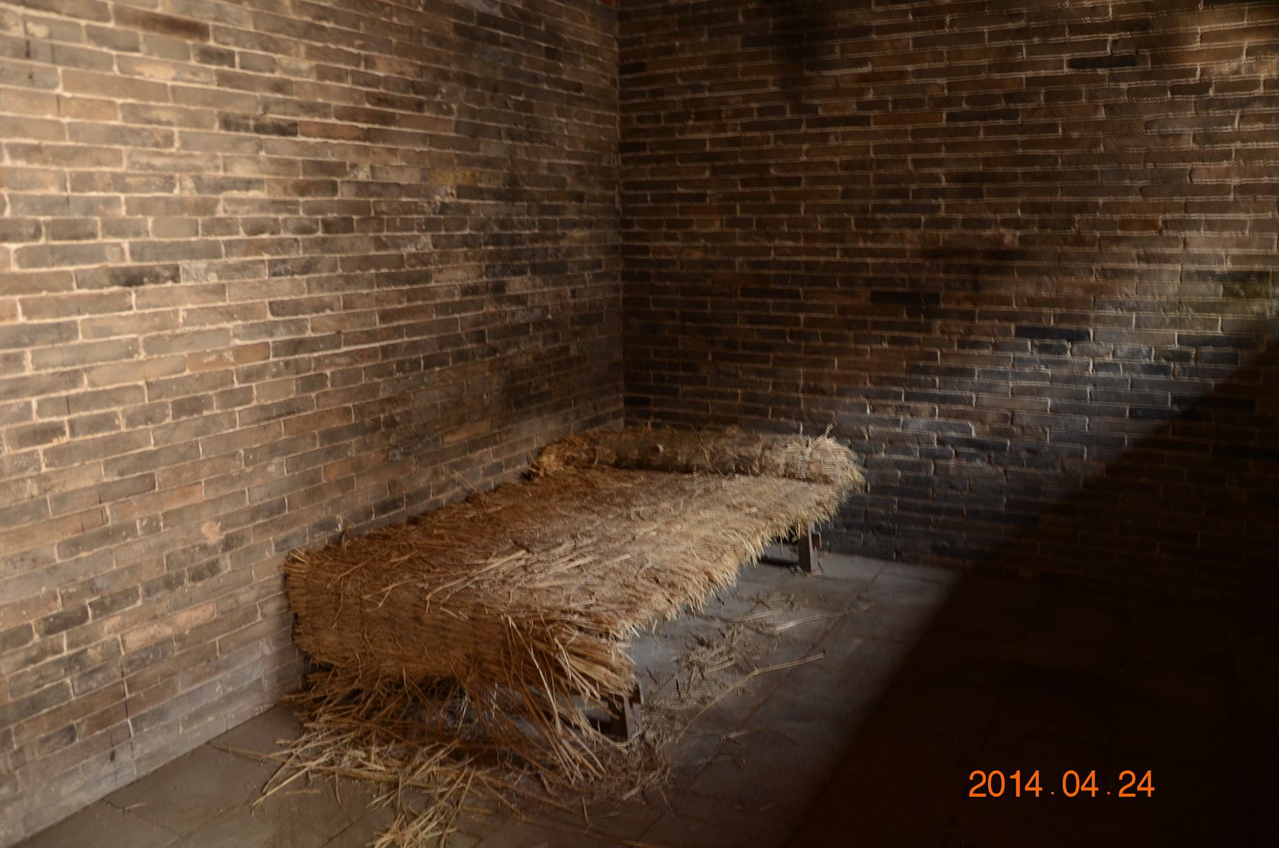 dsc_8687.jpg