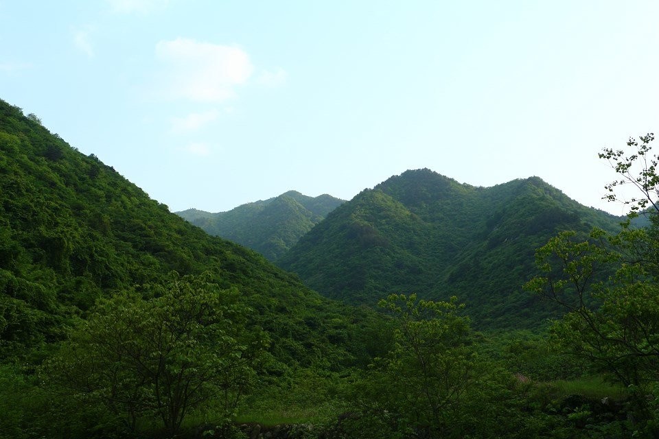 qqͼƬ20140429193734.jpg