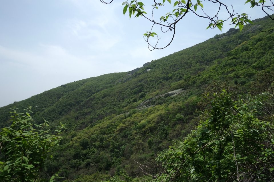 qqͼƬ20140430115530.jpg