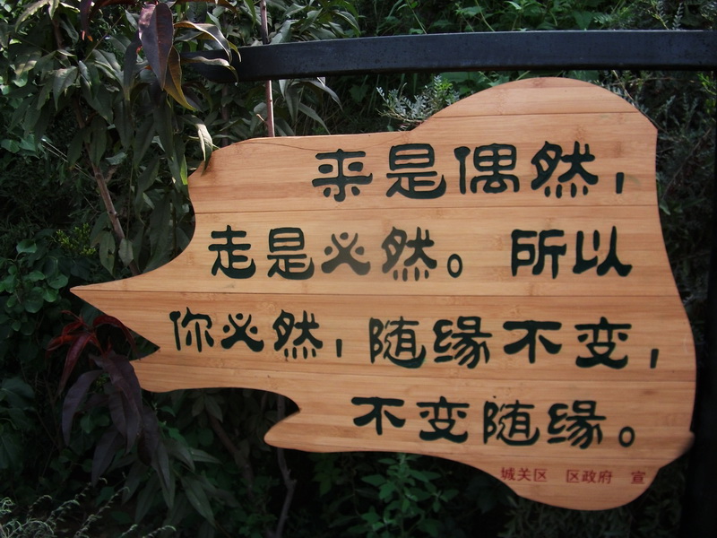 dscf0816.jpg