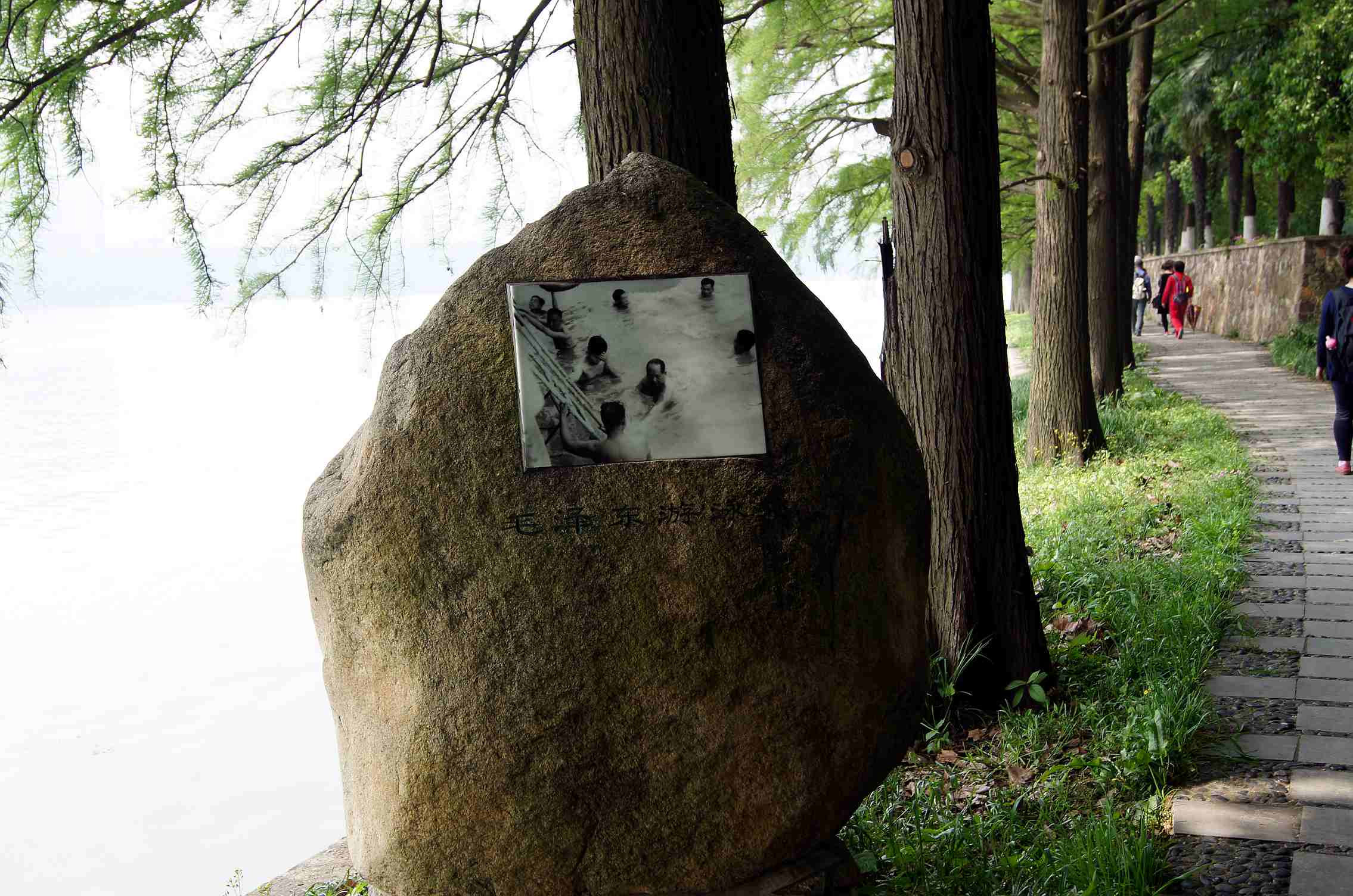 dsc09916_.jpg