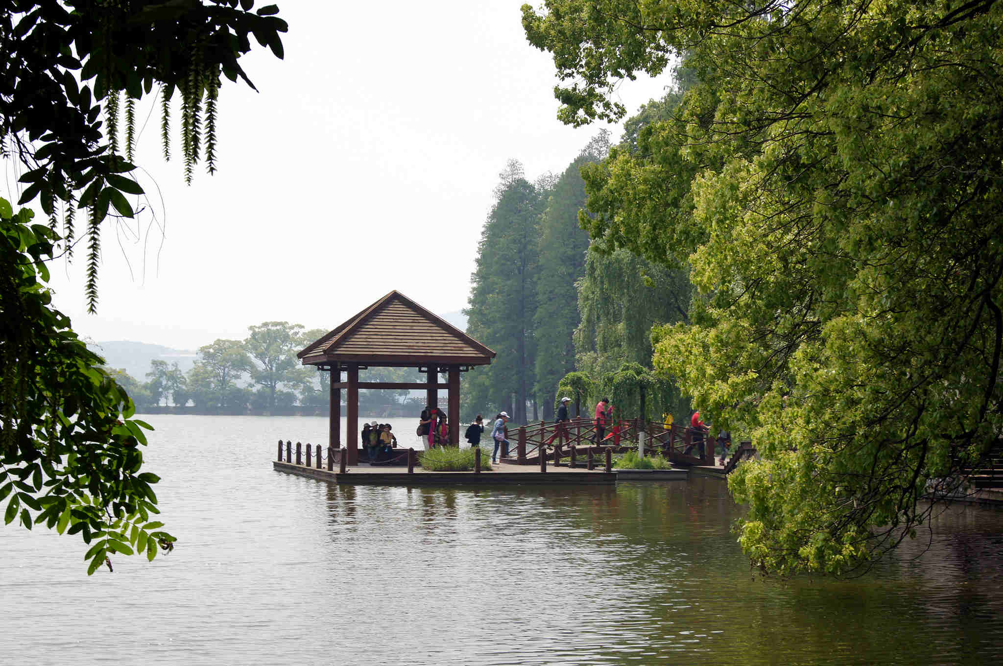 dsc09930_.jpg