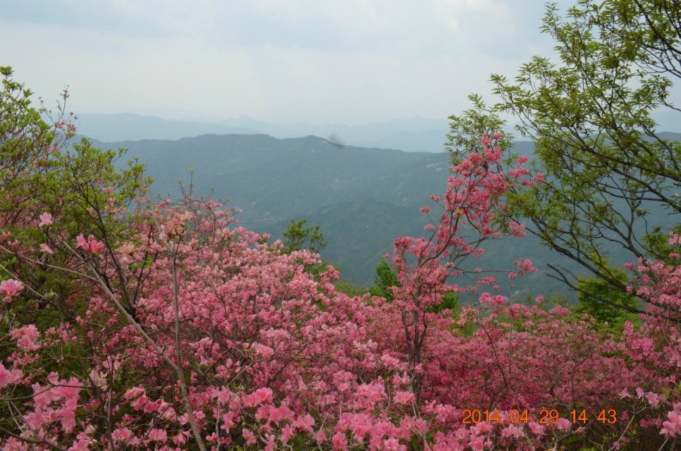 qqͼƬ20140430151431.jpg