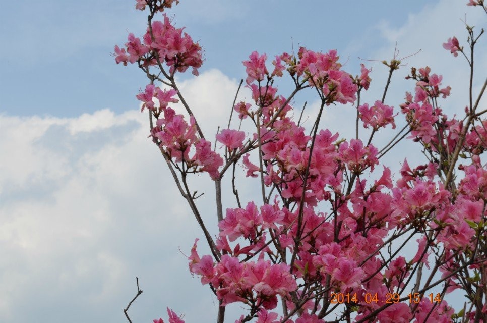 qqͼƬ20140430151122.jpg