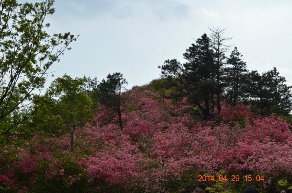 qqͼƬ20140430150744.jpg