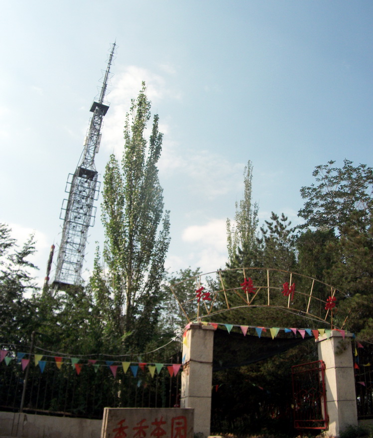 dscf0828.jpg