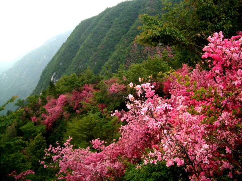 cimg4754_conew1.jpg